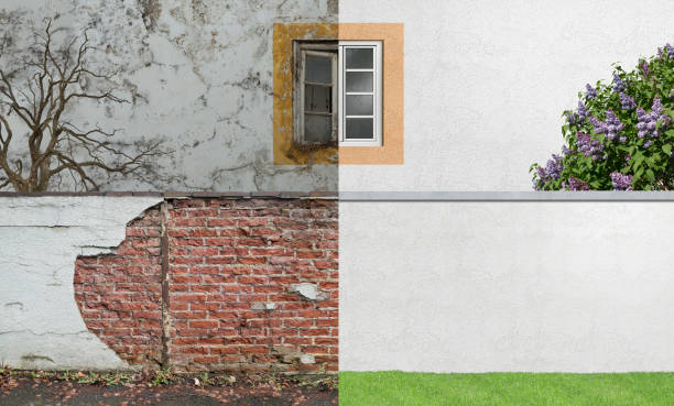Trusted West Chatham, MA Mold Removal Experts